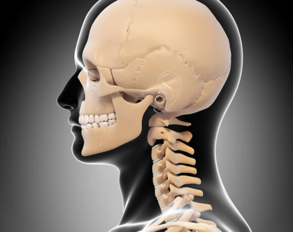 Side view graphic of skull and neck bones