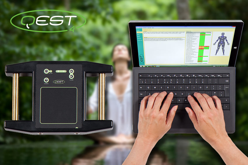 Using the Qest4 bioenergetic assessment system